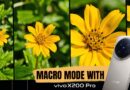 Get Closer to Nature than Ever: vivo X200 Pro Delivers Flawless Macro Photos